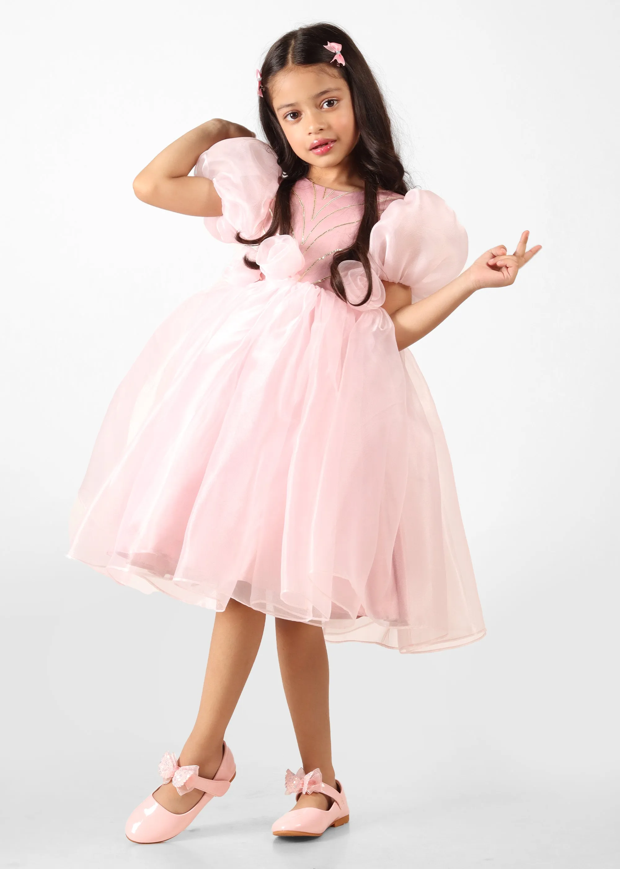 Blush Pink Fairy Organza Dress