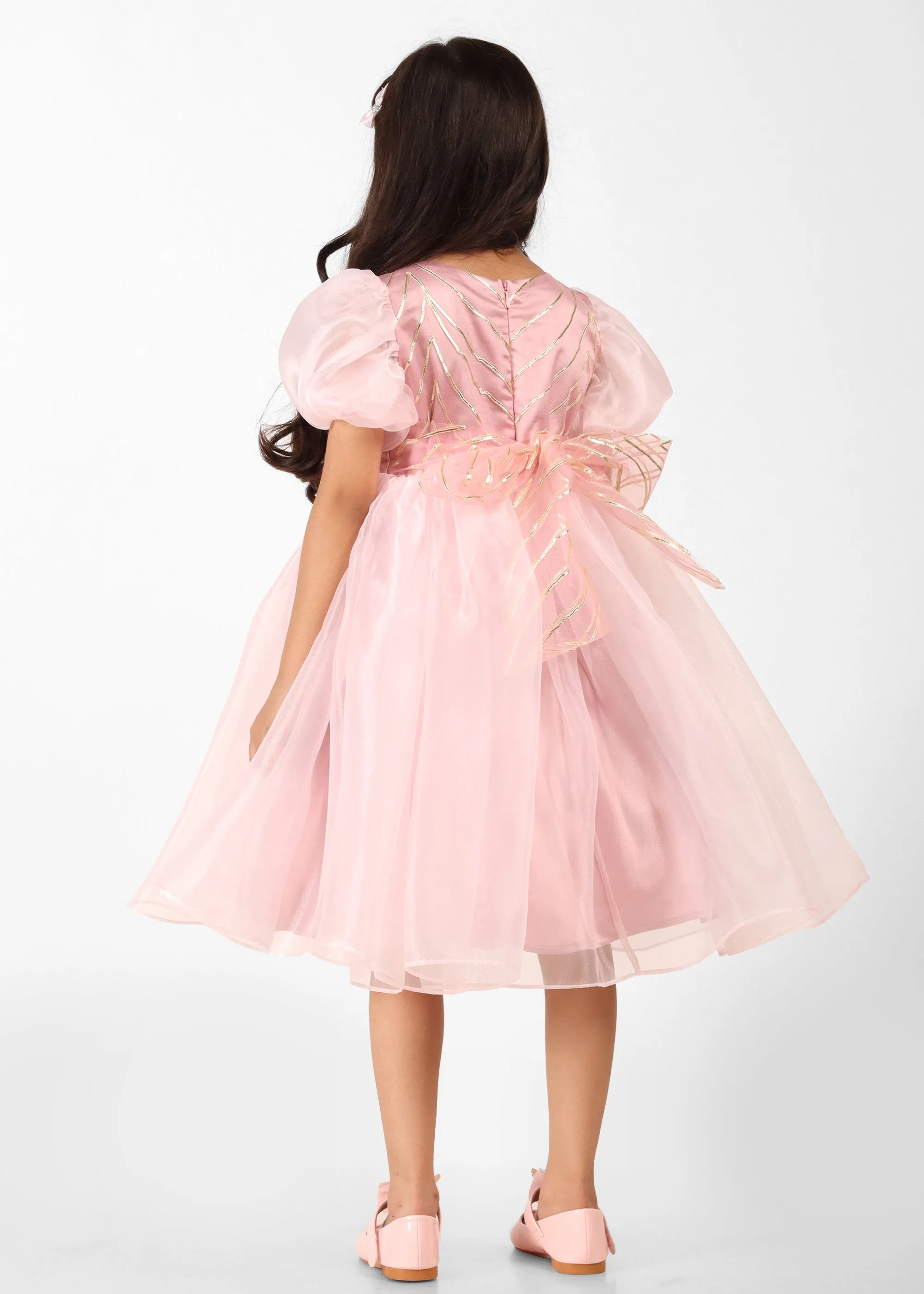 Blush Pink Fairy Organza Dress