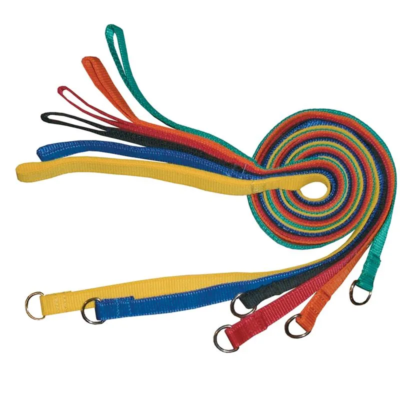 Dog slip leads