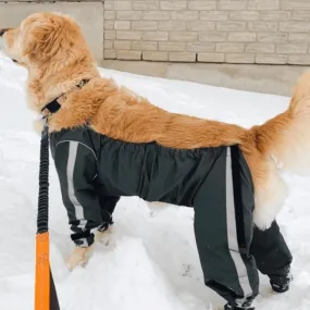 FouFouDog Bodyguard Dog Pants