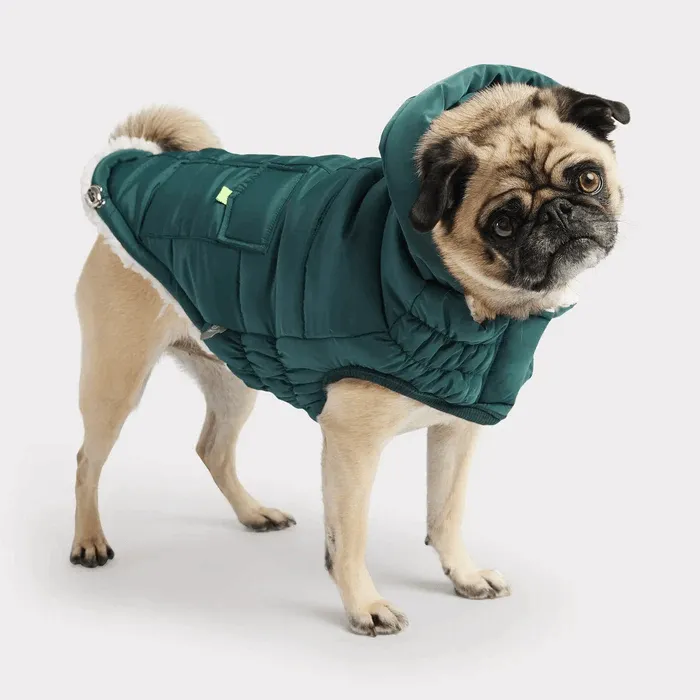 GF Pet Super Puff Parka Teal For Dogs