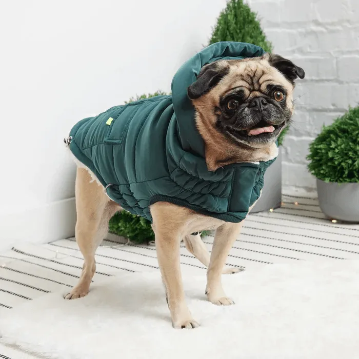 GF Pet Super Puff Parka Teal For Dogs