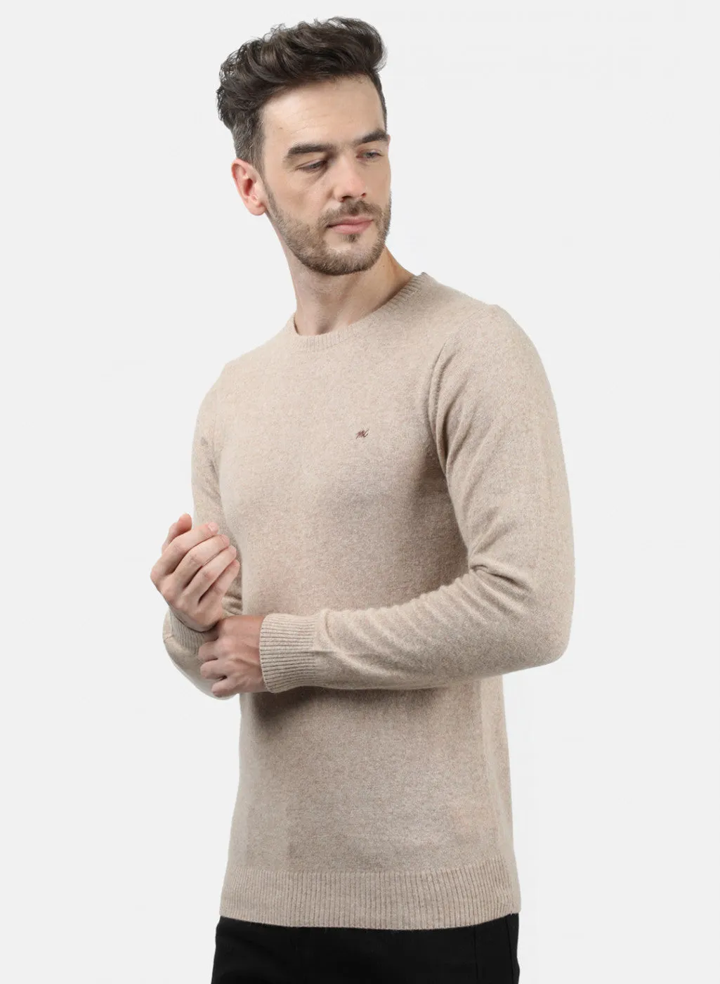 Men Beige Solid Pullover