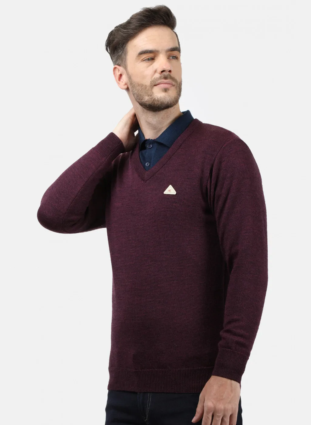 Men Purple Solid Pullover