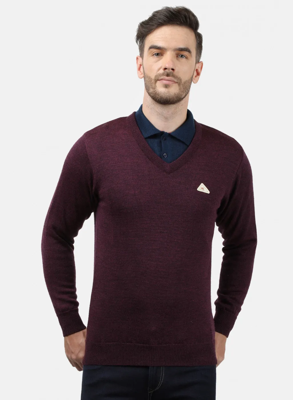 Men Purple Solid Pullover