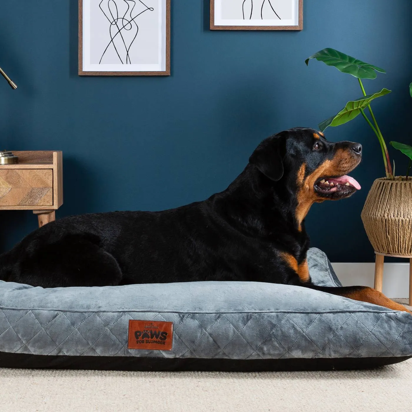 Paws for Slumber Luxury Pet Bed