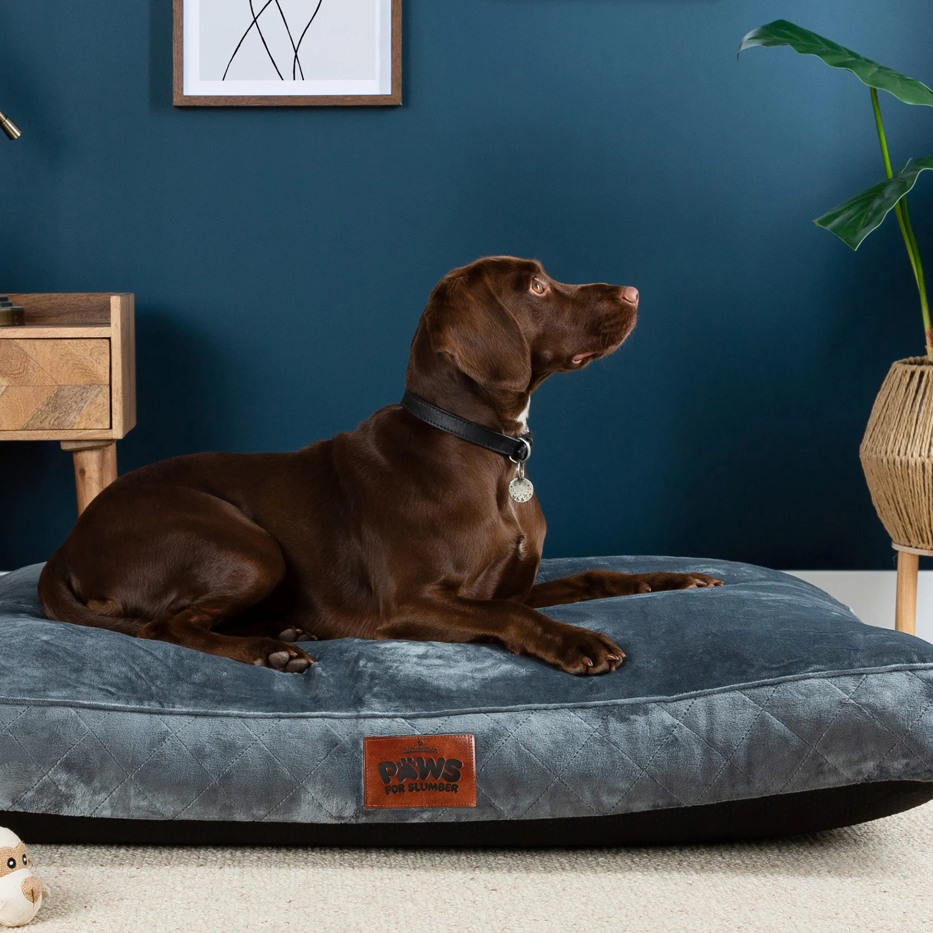 Paws for Slumber Luxury Pet Bed