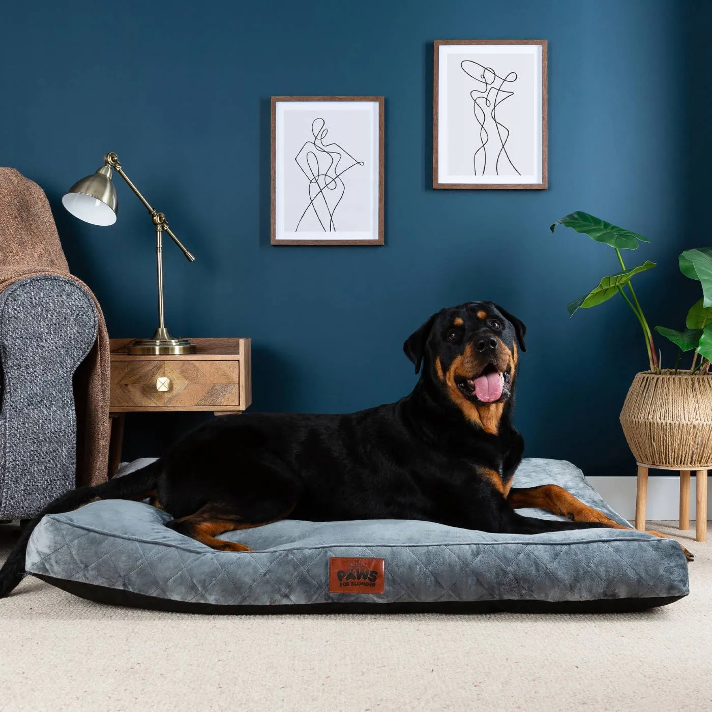 Paws for Slumber Luxury Pet Bed