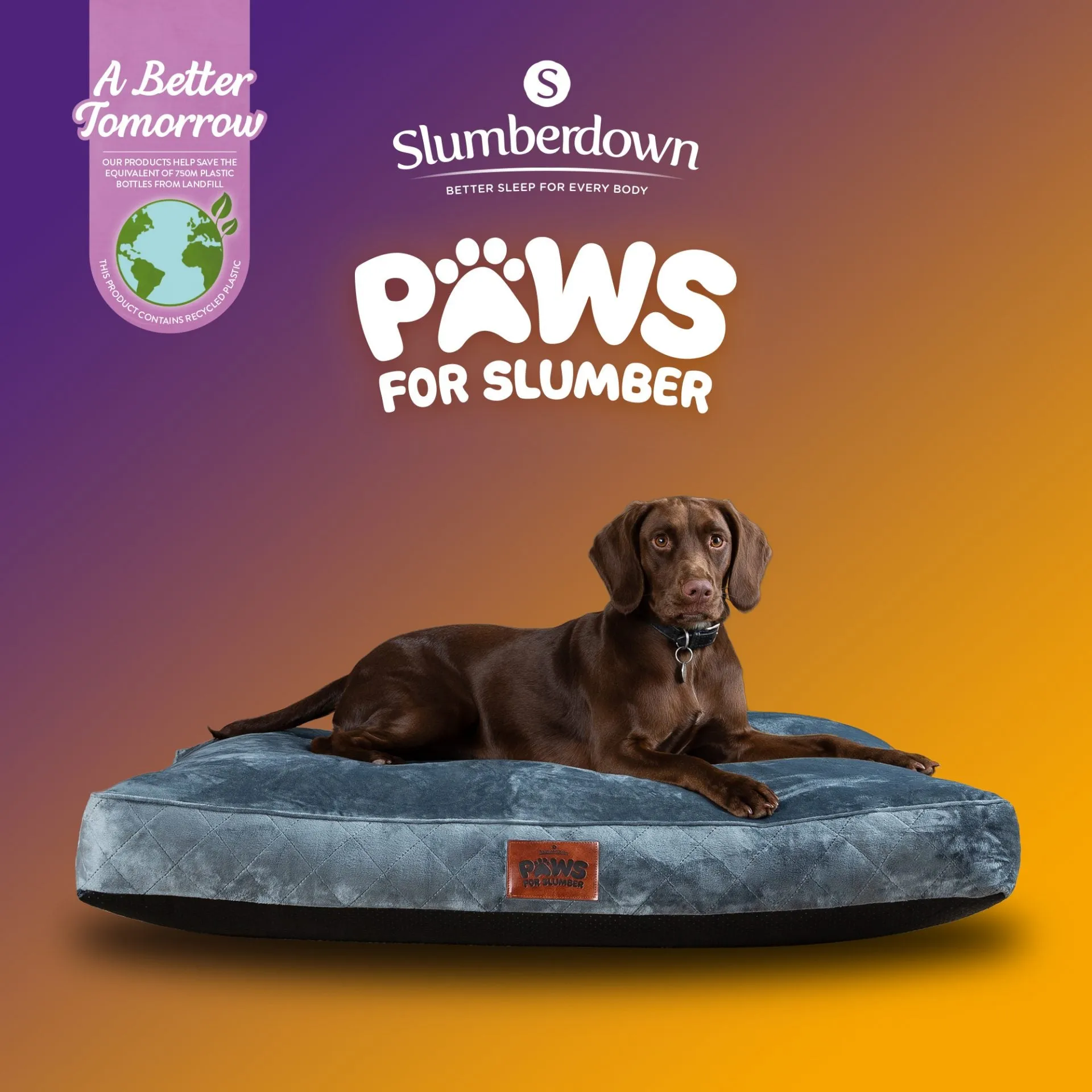 Paws for Slumber Luxury Pet Bed