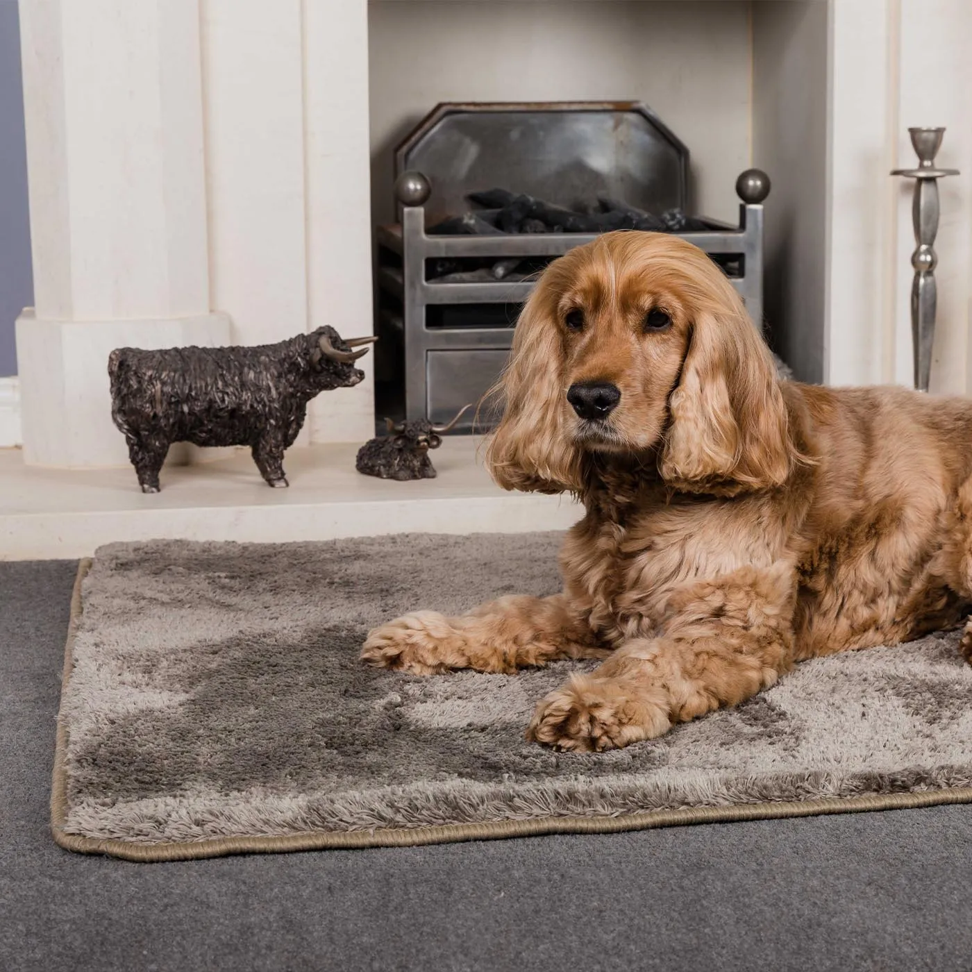 Pet Rebellion Big Softie Cosy Rug