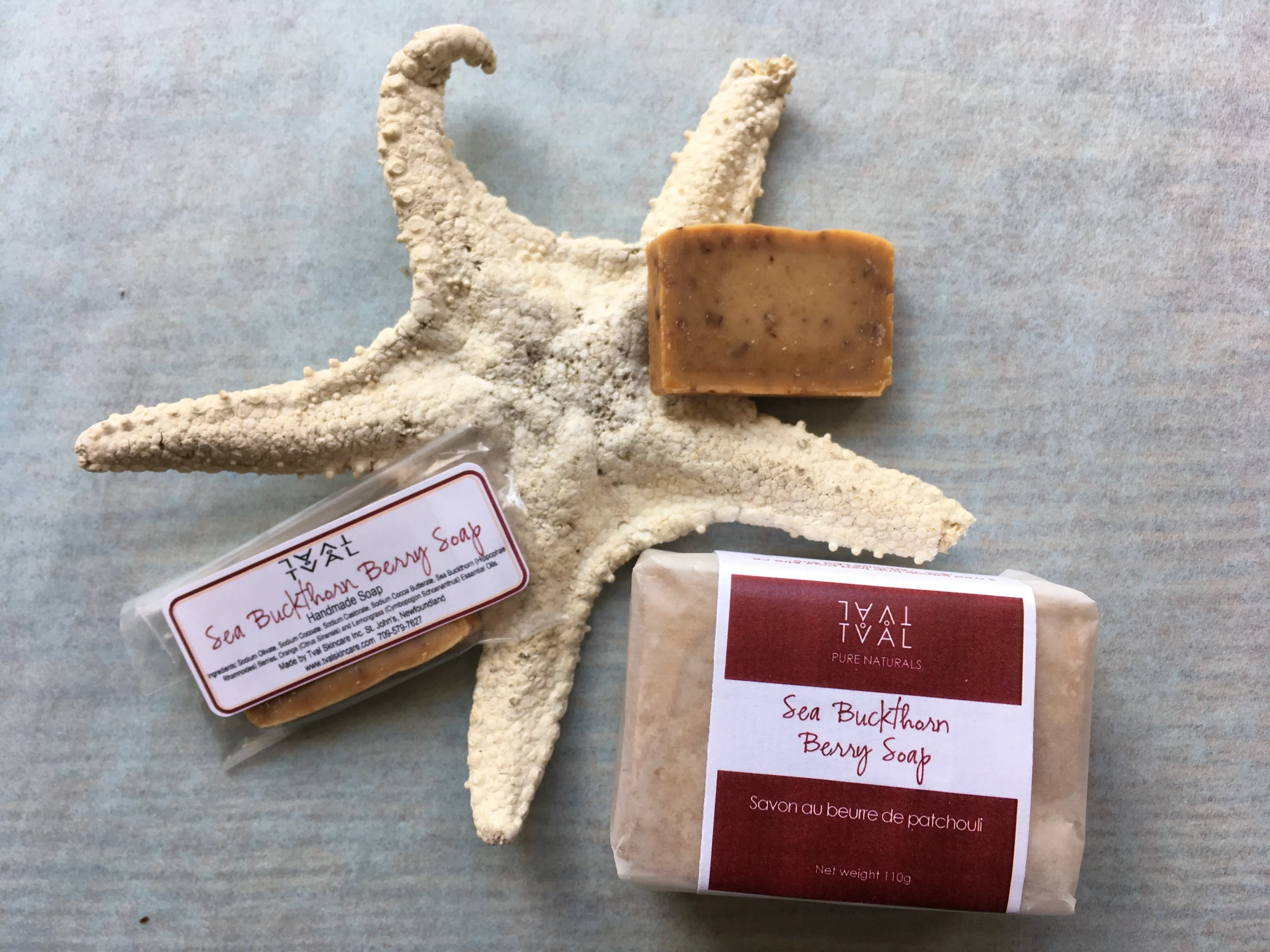 Pure Naturals Sea Buckthorn Berry Soap