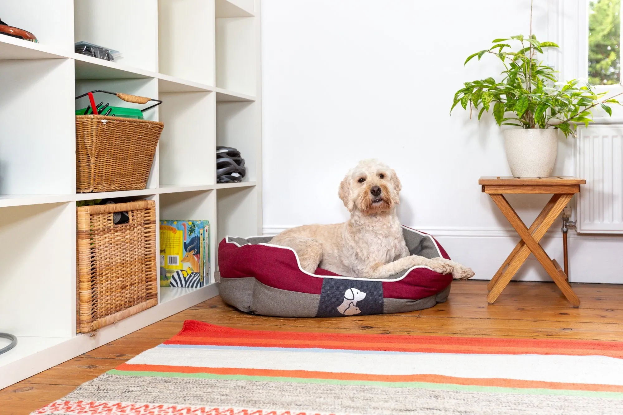 Real Pet Store Oxbridge Luxury Dog Beds Red 4 Sizes